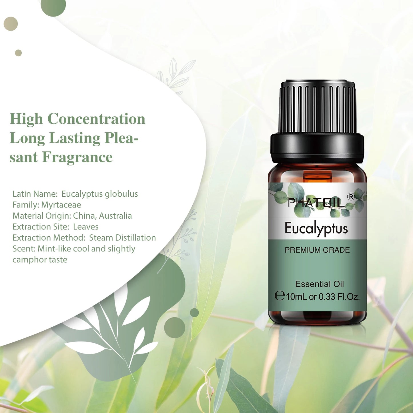 S2f60e9923fd749ddb856d98b9bdcc5beG